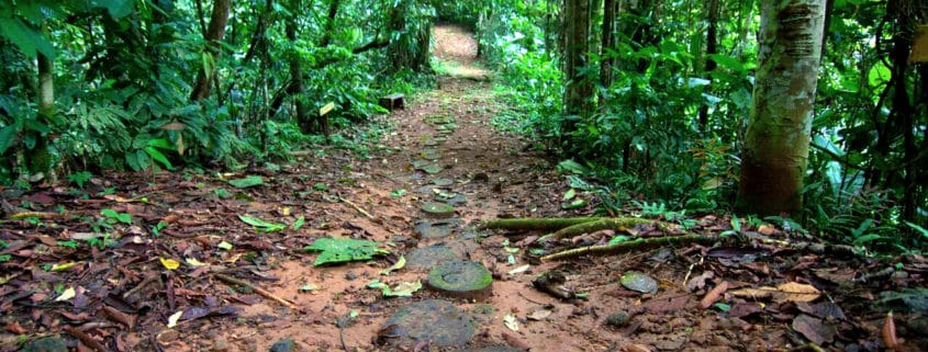 Caribbean, adventure, Puerto Viejo, off the beaten path, rainforest, nature, retreat