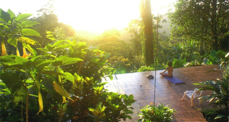 Yoga Teacher Training, Yoga Retreat, Yoga Immersion, Rainforest Yoga, Healing, Yoga, Costa Rica, Solo Travel