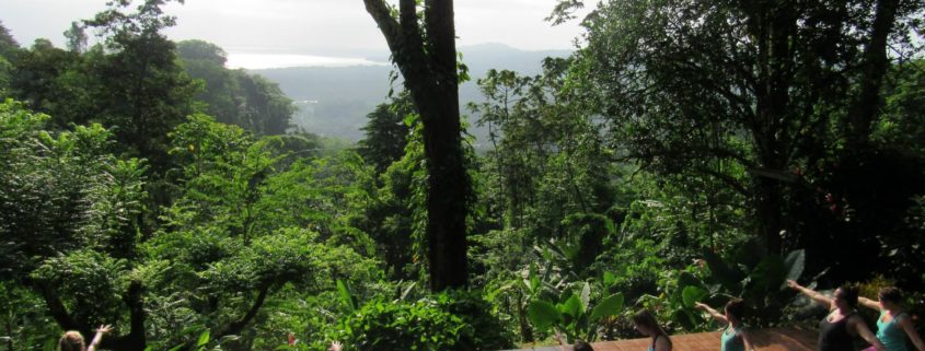 Yoga Retreat, Costa Rica, Wellness Retreat, rainforest, retreat catalogue, adventure