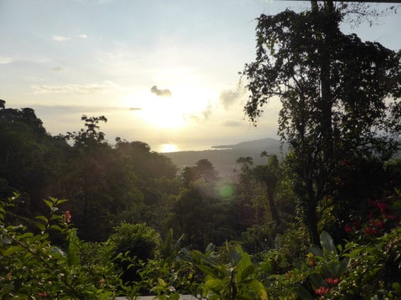 healing effects of nature, stress relief retreat, costa rica, caribbean, retreat in paradise, wellness retreat, healing in the rainforest