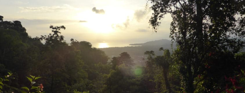 healing effects of nature, stress relief retreat, costa rica, caribbean, retreat in paradise, wellness retreat, healing in the rainforest